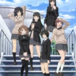 Амагами СС (сериал 2010 – 2011) Amagami SS